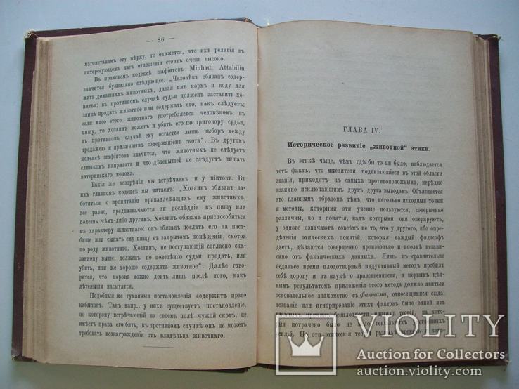 1899 г.  Защита животных (этико-юридический очерк) Вегетерианство, фото №4