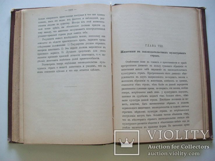 1899 г.  Защита животных (этико-юридический очерк) Вегетерианство, фото №6