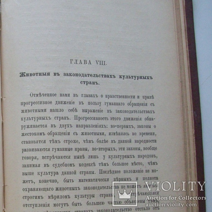 1899 г.  Защита животных (этико-юридический очерк) Вегетерианство, фото №7