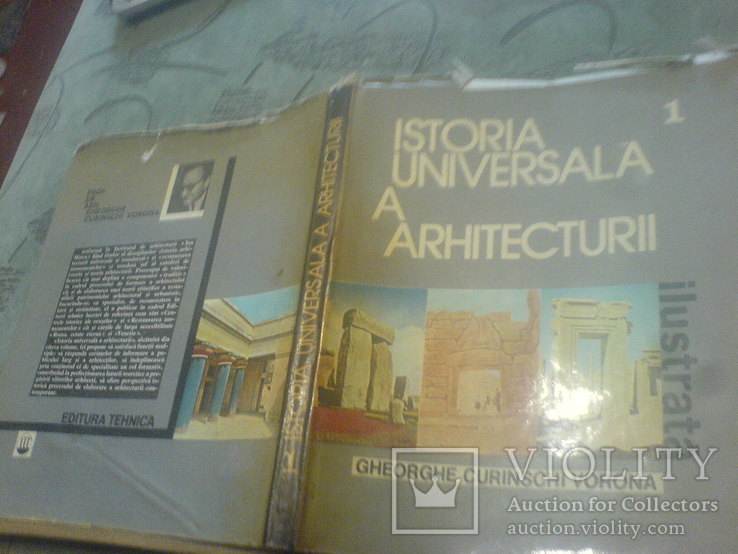 Istoria Universala a arhitecturii, фото №2