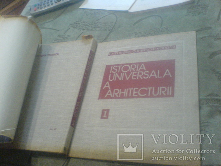 Istoria Universala a arhitecturii, фото №3