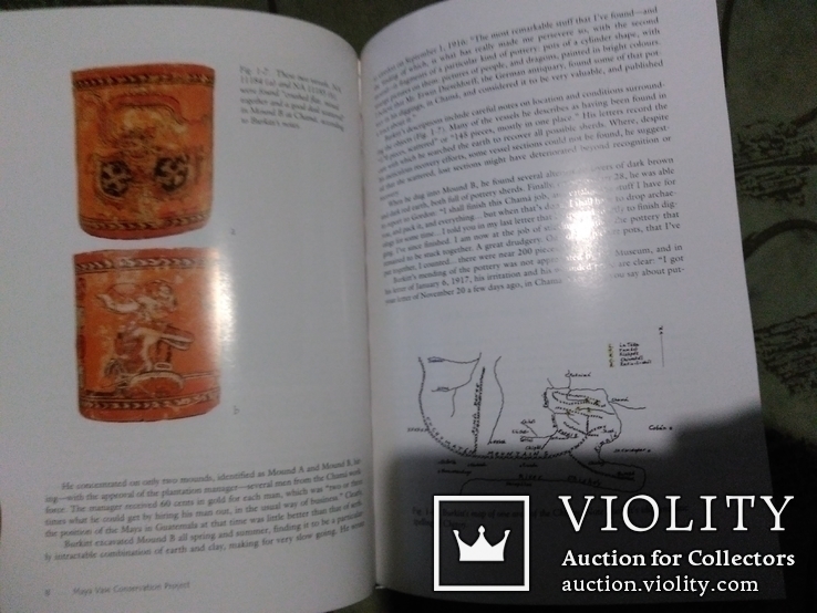 The Maya Vase Conservation Project+CD, фото №10