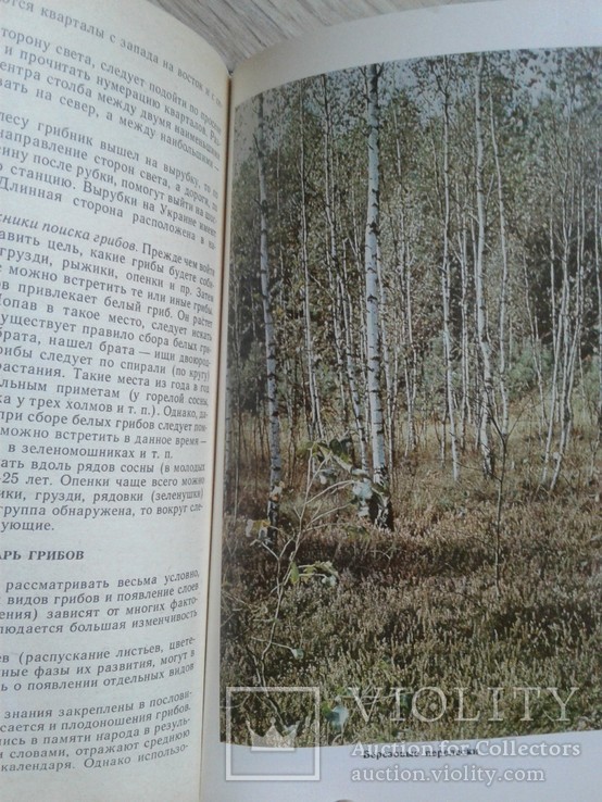 Козак В., Козьяков С. Все о съедобных грибах, фото №3