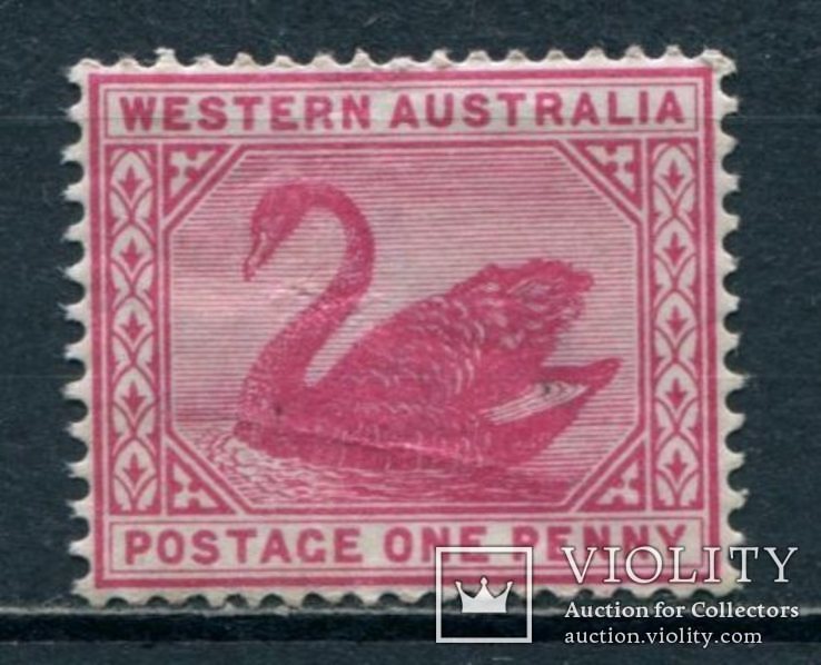 1898 Западная Австралия Черный лебедь вз.4 1р, фото №2