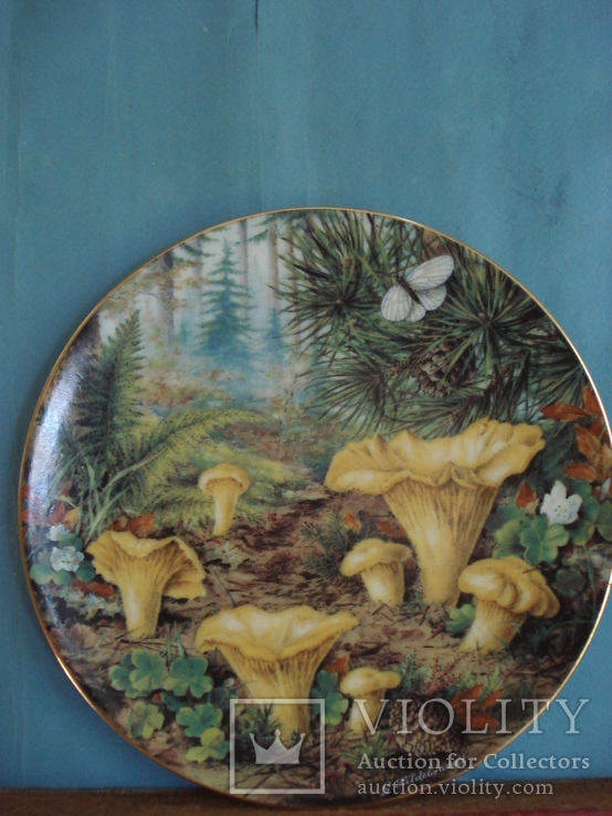 Коллекционная тарелка "Лисички в хвойном лесу". Художник - Gunter Hildebrandt., фото №2