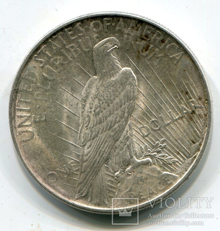 Доллар 1922 г. Мирный, фото №3