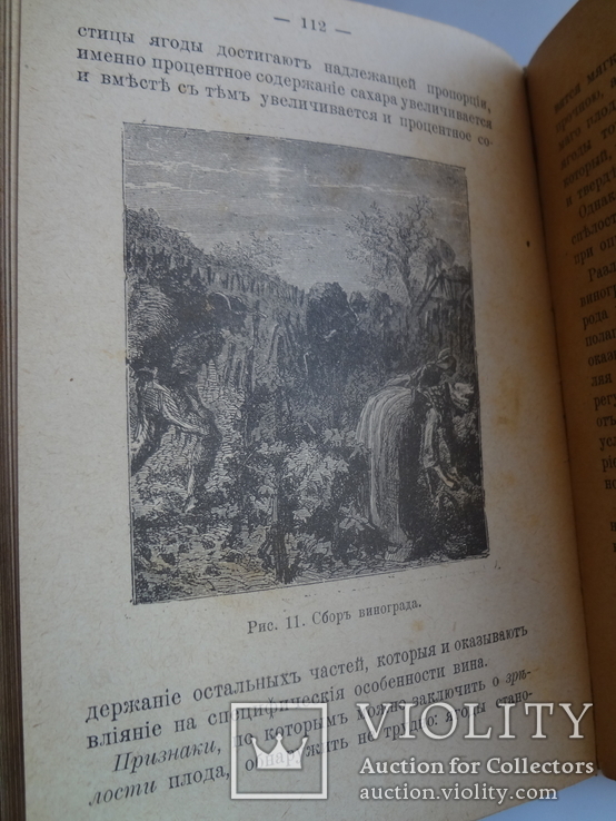 1904 Виноделие Полная школа для виноделов рестораторов и потребителей, фото №7