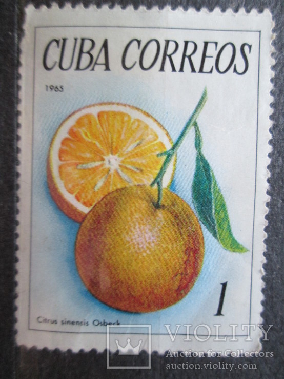 Куба 1965 * флора