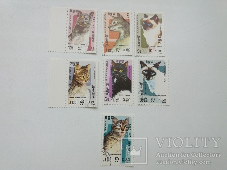 Набір з 7 марок котів