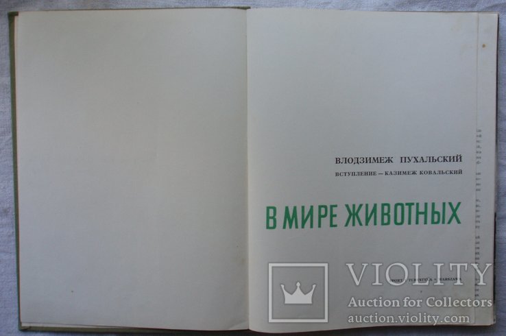 В мире животных. Фотоальбом. Варшава 1969г. В. Пухальский., фото №4