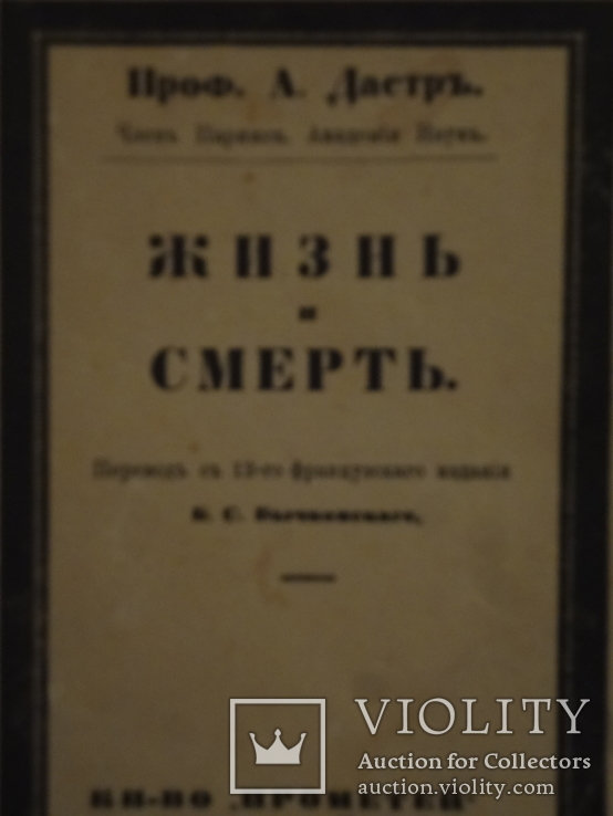 Жизнь и Смерть старинная книга, фото №4