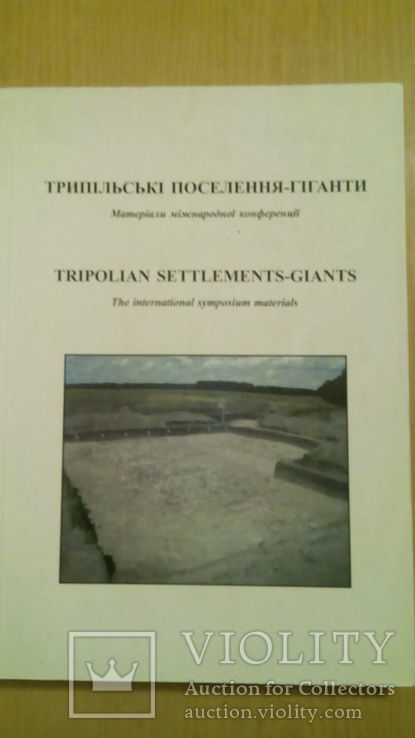 Трипільські поселення-гіганти, фото №2