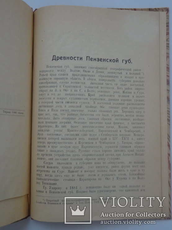 1925 Древности Пензенской губернии, фото №5