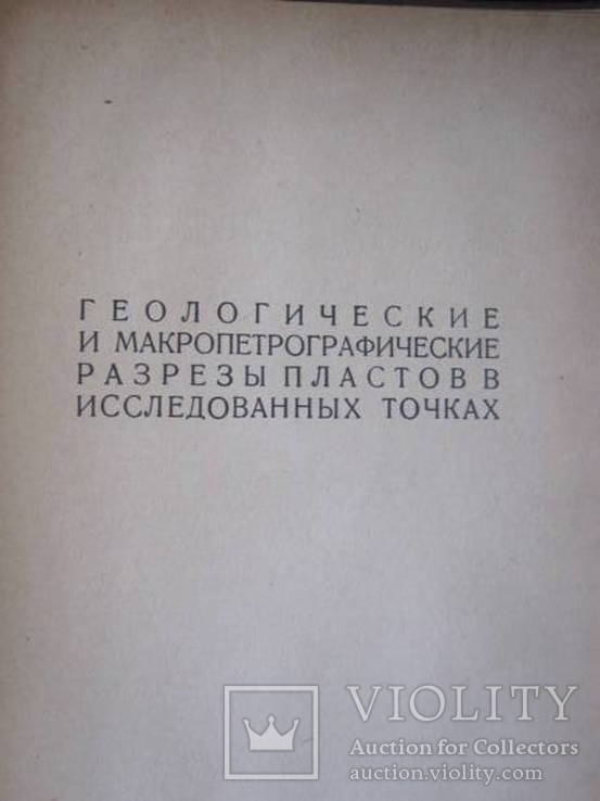 Донецкий бассейн., фото №3