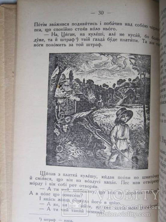 Украінська читанка. 1931 р., фото №7