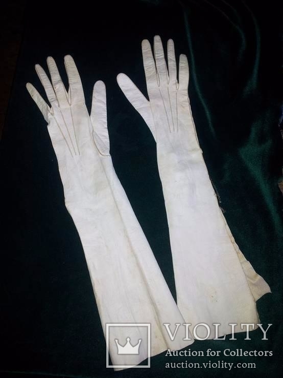 Лайковые перчатки 19 века, фото №3