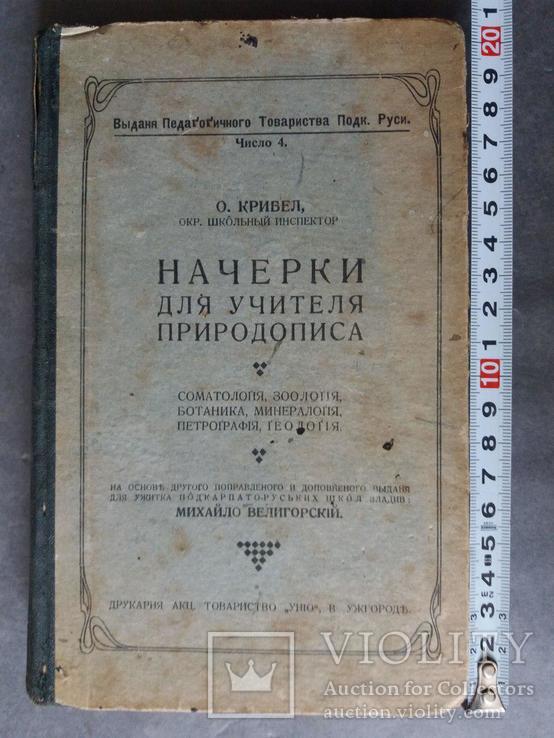 Начерки для учителя природописа. 1924 г., фото №2