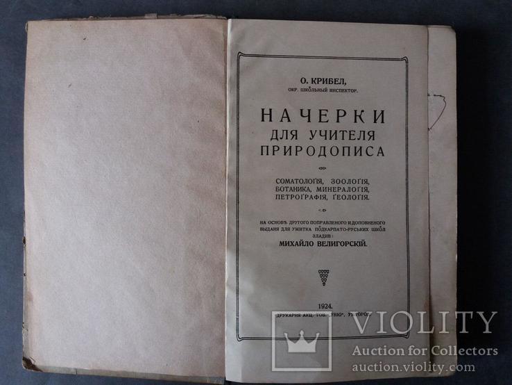 Начерки для учителя природописа. 1924 г., фото №5