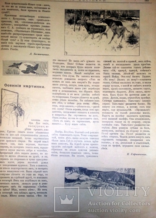 Журнал "Охотничий вестник" с №8 по №24 за 1906 год + журнал "охота" №7 1904 год, фото №8