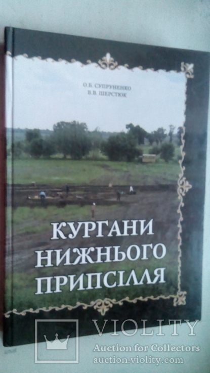 Кургани Нижнього Припсілля, фото №2