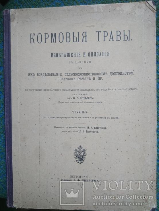 Кормовые травы.Изображения и описания с данными об их возделывании., фото №2