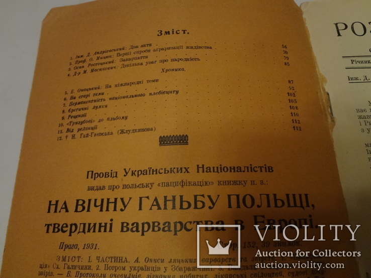 1931 Розбудова Української Нації та Еврейське Аграрне Питання, фото №4