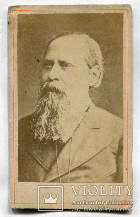 Михаил Евграфович Салтыков-Щедрин, 1870/80-е годы., фото №2