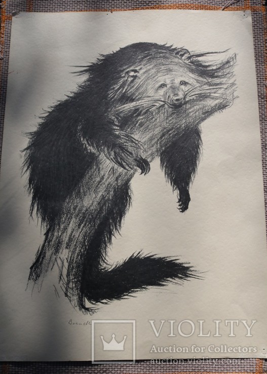 Картина графика Россомаха или Медведь, Германия, фото №3