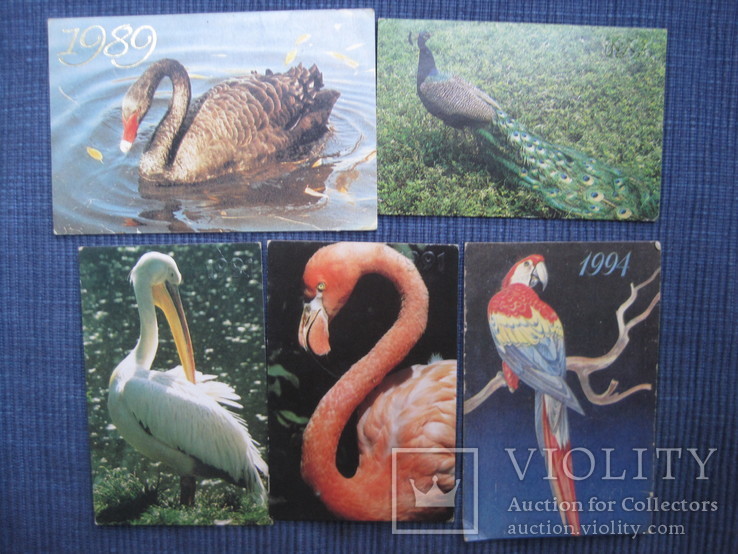 Календарики  птицы, фото №4