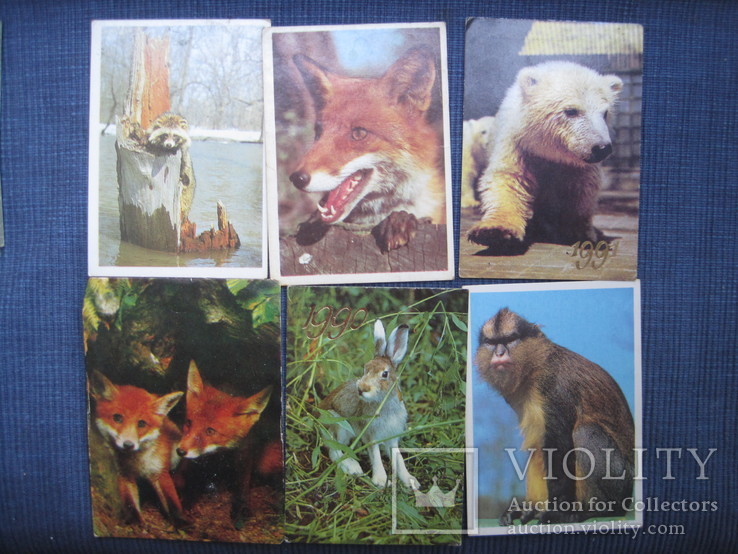 Календарики животные, фото №2