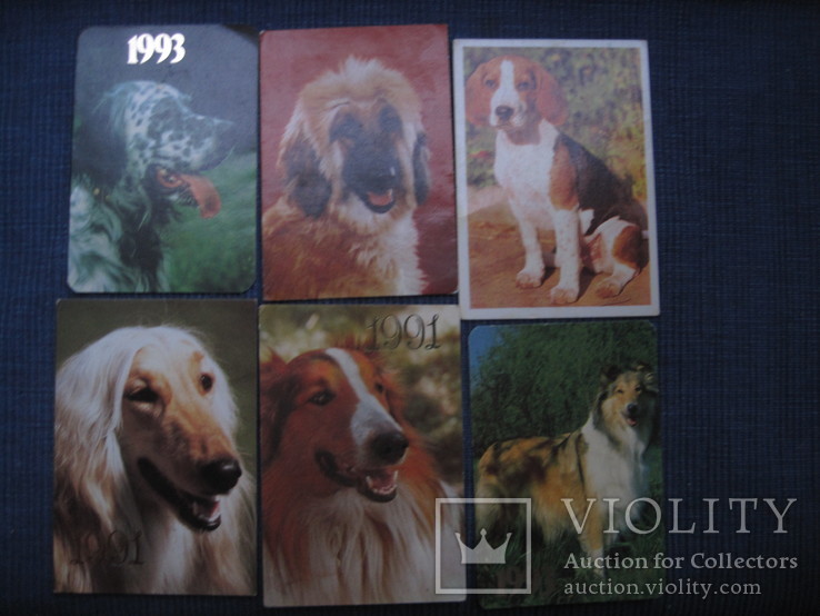 Календарики собаки, фото №6