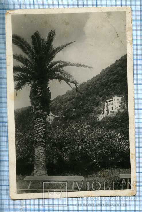 Гагры 1935 c50, фото №2