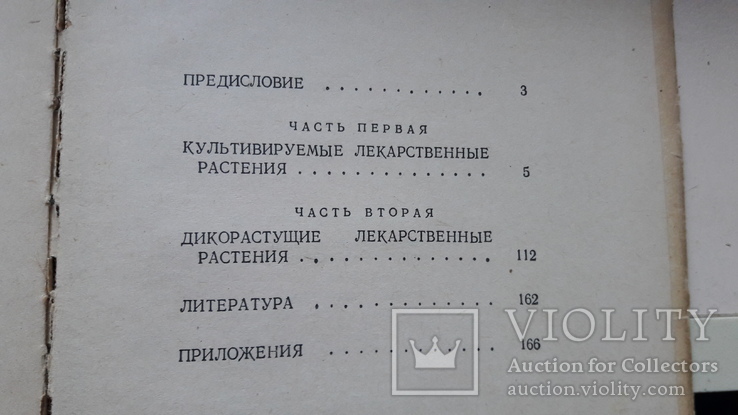 Кортуков. Культивируемые и дикорастущие лекарственные растения.справочник, фото №9