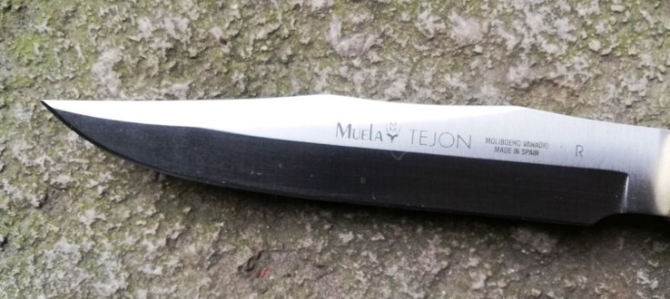 Нож Muela Tejon-17, фото №3