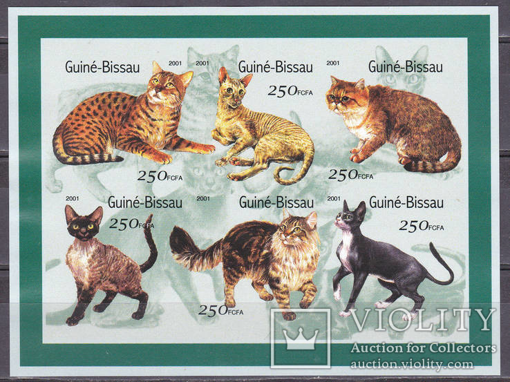 2001. Гвинея Биссао. Коты. MNH