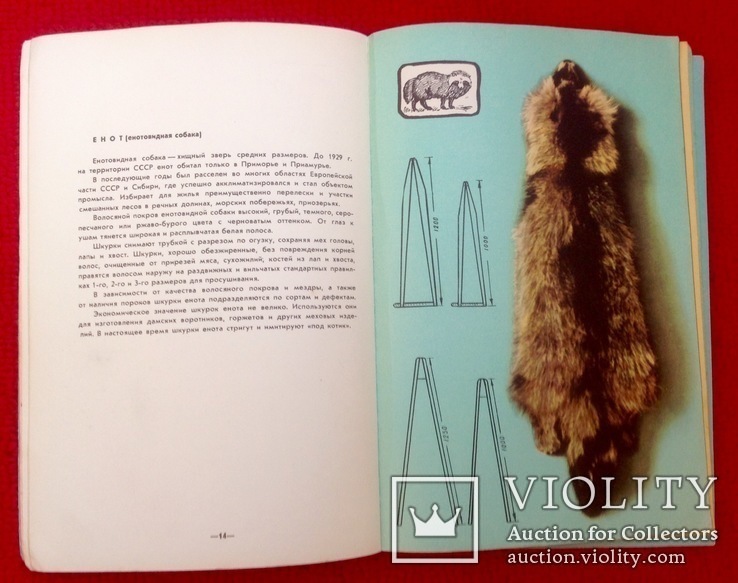Книга уникальное издание " пушно меховое сырьё" , охота ссср, фото №3