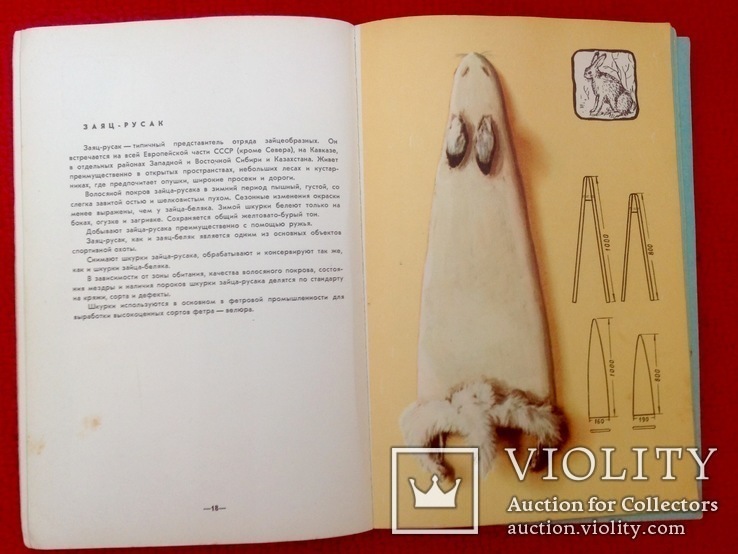 Книга уникальное издание " пушно меховое сырьё" , охота ссср, фото №6