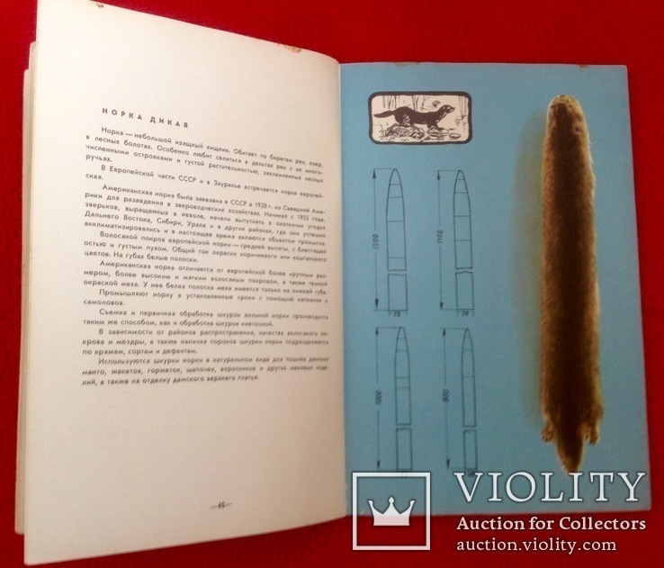 Книга уникальное издание " пушно меховое сырьё" , охота ссср, фото №8