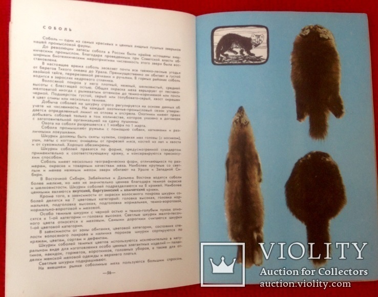 Книга уникальное издание " пушно меховое сырьё" , охота ссср, фото №9