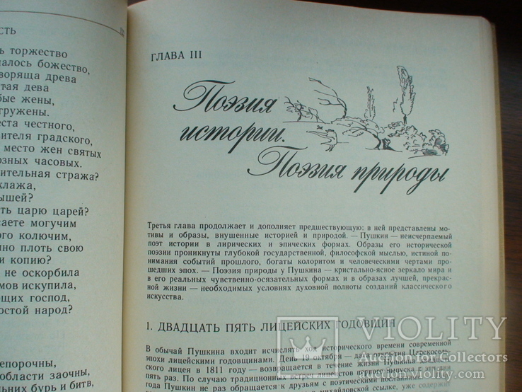 Пушкин об искусстве 2 тома 1990р., фото №5