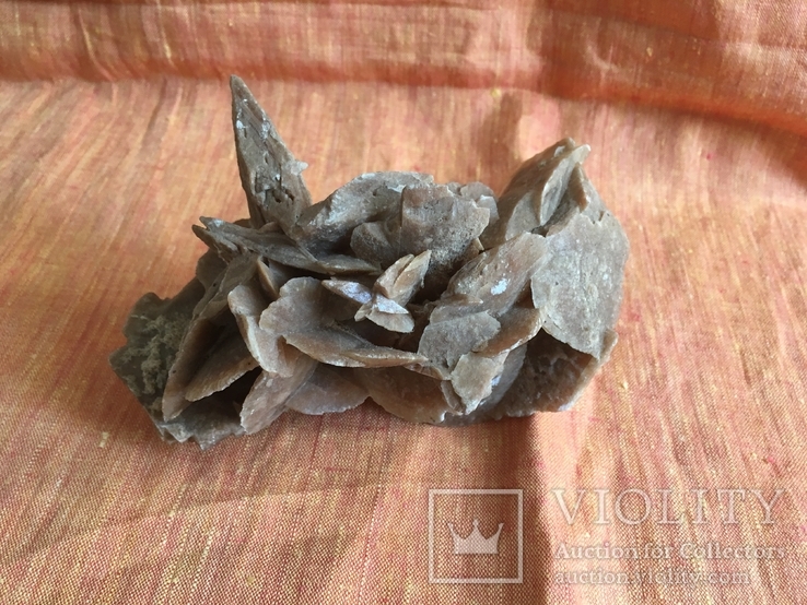 Мінерал "Троянда Сахари" 1, фото №3