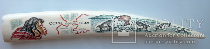Клык моржа СССР  USA, фото №2