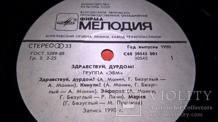 ЭВМ (Здравствуй, Дурдом!) 1990. (LP). 12. Vinyl. Пластинка. NM/EX+, фото №4