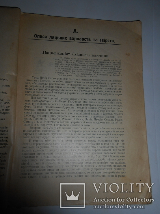 1931 Польский Терор Видання Українських Націоналістів, фото №5