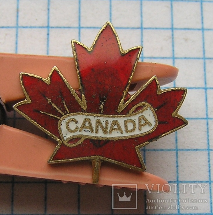 Канада листик, фото №2