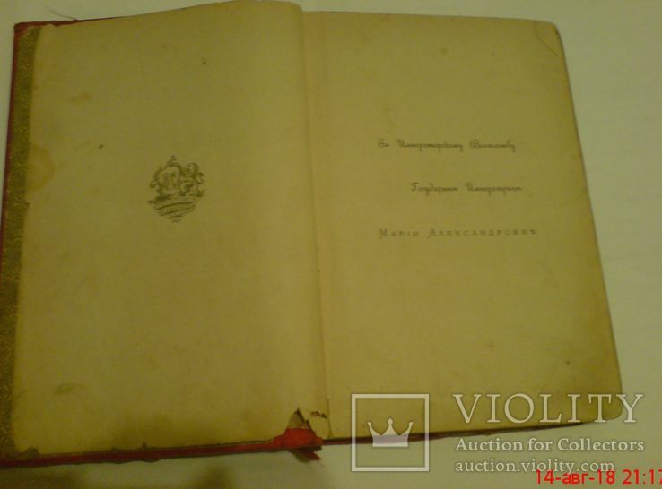 Князь серебряный 1899 г., фото №5