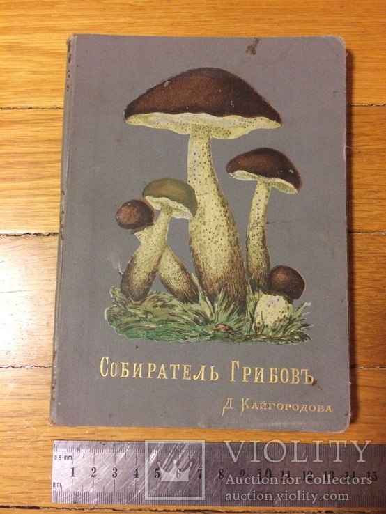 Собиратель грибов Д. Кайгородов 1891 г., фото №2