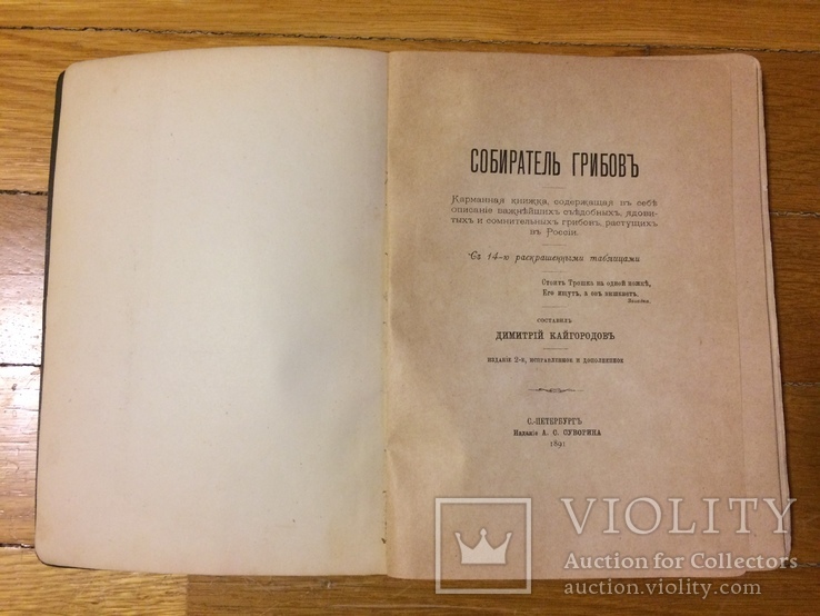 Собиратель грибов Д. Кайгородов 1891 г., фото №6