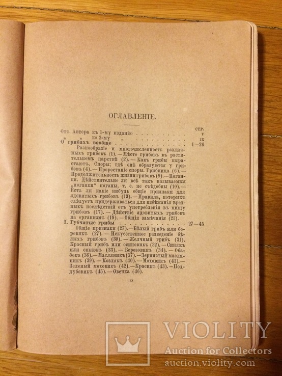 Собиратель грибов Д. Кайгородов 1891 г., фото №7