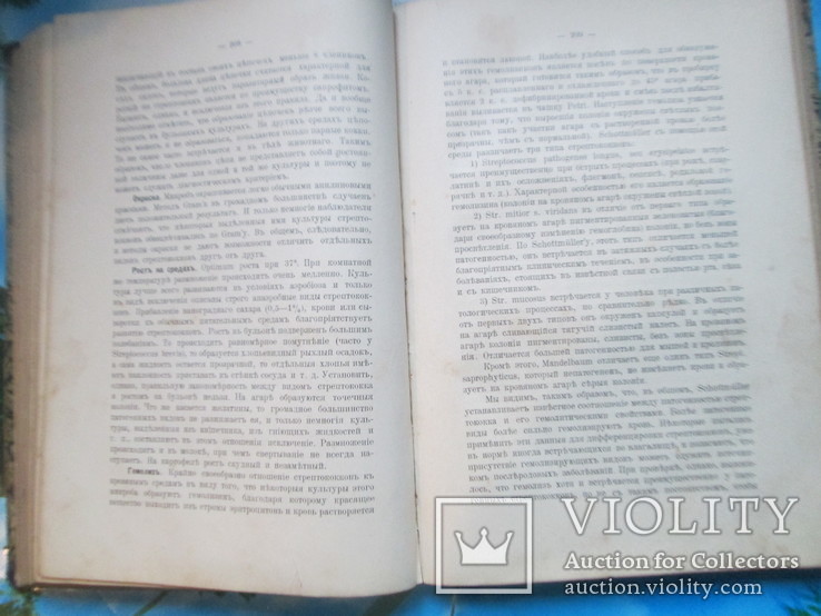 Л.С.Розенталь.Микробиология заразных болезней.1912 год, фото №7